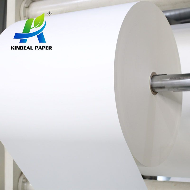 Biodegradable Coated and Plastic Free Water Barrier Coating Paper for Cup Making