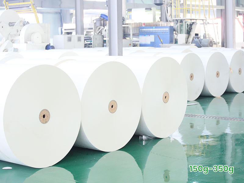 1-Paper-Cup-Raw-Material