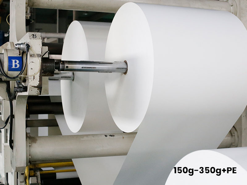 2-Poly-Coated-Paper