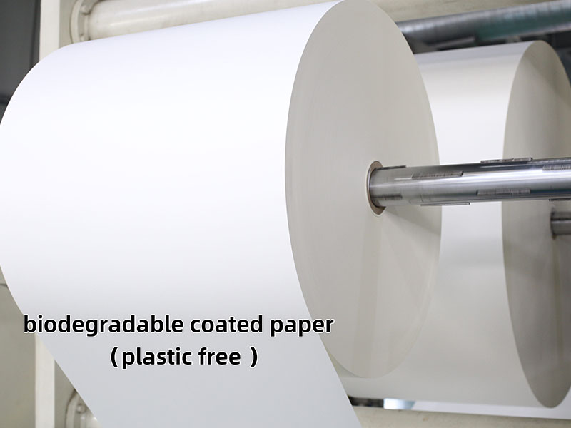 10-Biodegradable-Coated-Paper