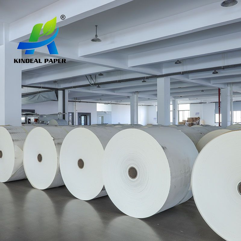 190gsm Single Poly Coated Paper for 4oz,5oz,6oz Cups Made by Chinese Manufacturers