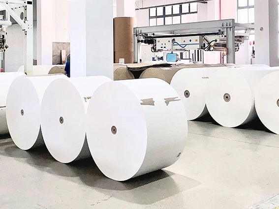 Cupstock Paper 101: Making Food Packaging Safer