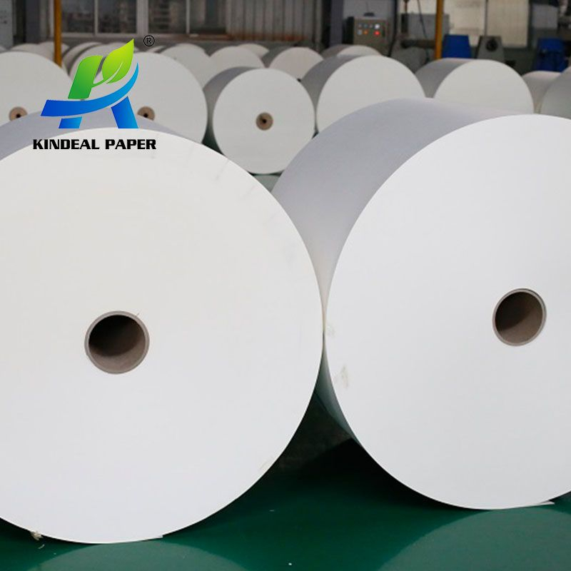 150GSM Paper Cup Roll Raw Material for Small Cups