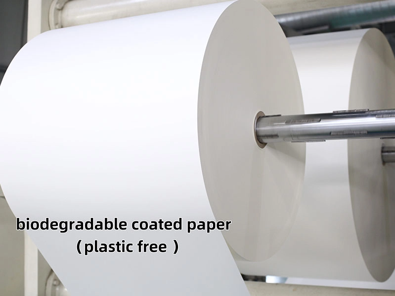 10-Biodegradable-Coated-Paper_799_600