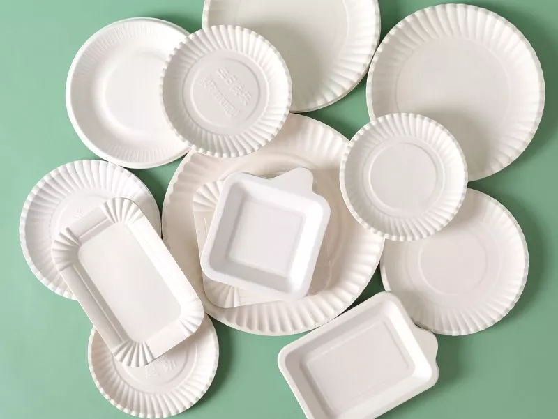 Uncoated cupstock paper for single-use plates and tableware
