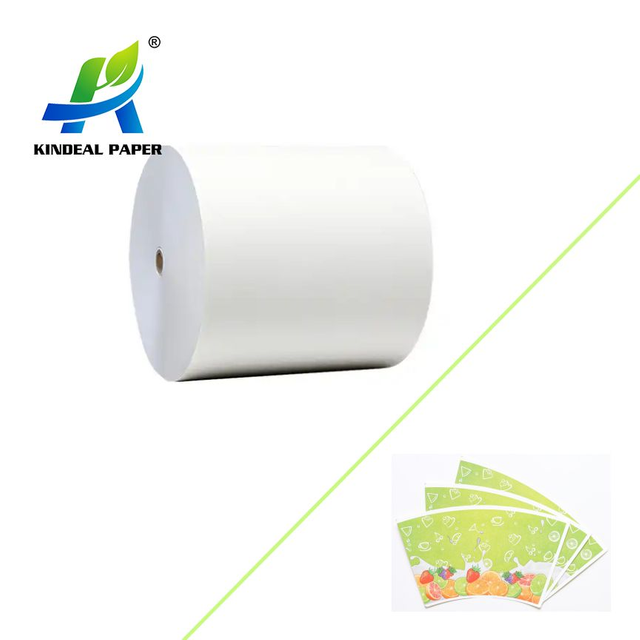 High Quality 1-side PE-coated cusptock white paper in customized roll or sheet size 