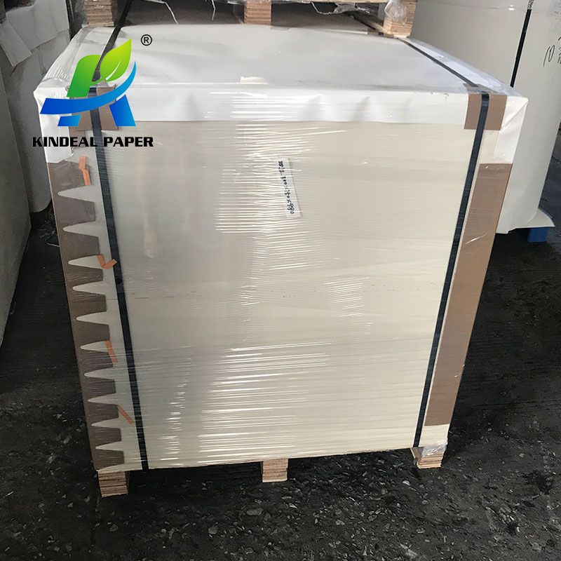 PE Coated Paper in Sheet for High Quality Paper Cup Printing Requires