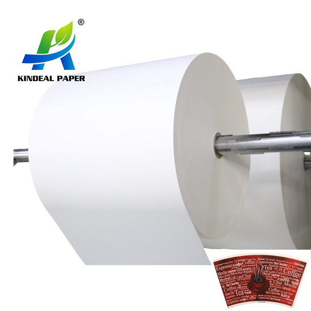 FSC Paper Cup Raw Materials Manufacturing for Coffee Cups 