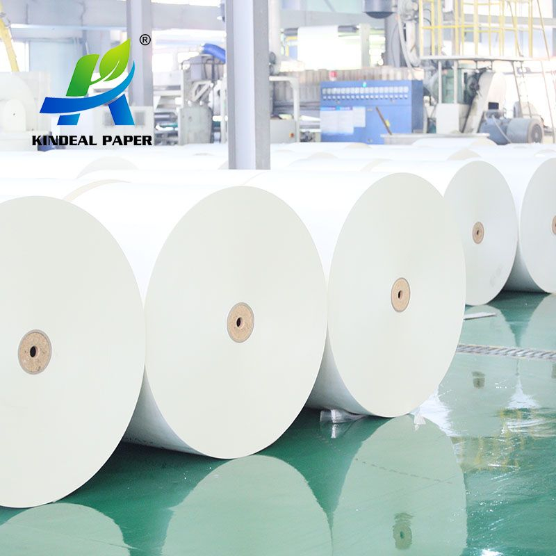 260GSM Paper Tea Cup Raw Material with Wholesale Price