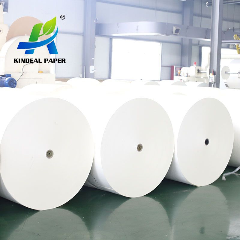 300GSM Raw Material Required for Paper Cup Manufacturing