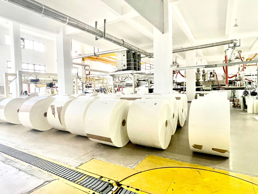 Why LDPE Coated Paper Dominates Disposable Paper Cup Manufacturing