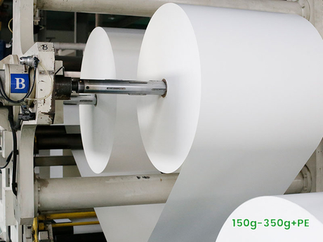 2-Poly-Coated-Paper.jpg