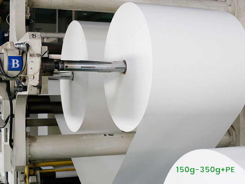 2-Poly-Coated-Paper.jpg
