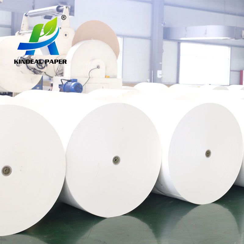 260GSM Paper Tea Cup Raw Material with Wholesale Price