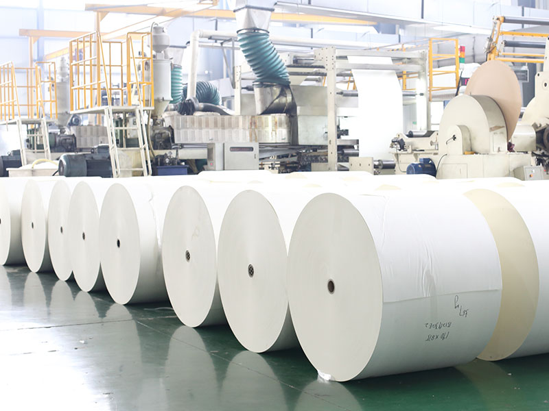 How to Specify PE Coated Cup Stock Paper for Tailored Production Requirements