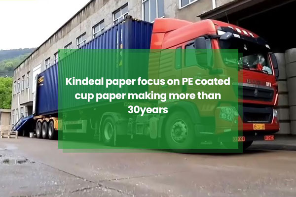 Kindeal-paper-focus-on-PE-coated-cup-paper-making-more-than-30years.jpg