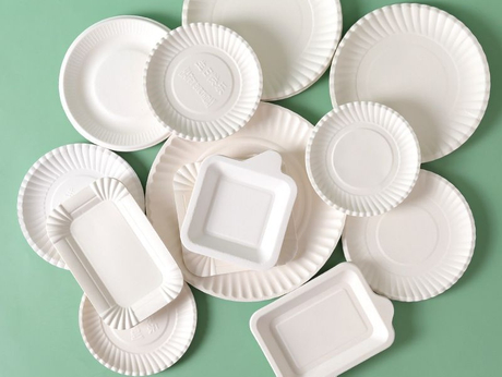 paper plate （2）.jpg