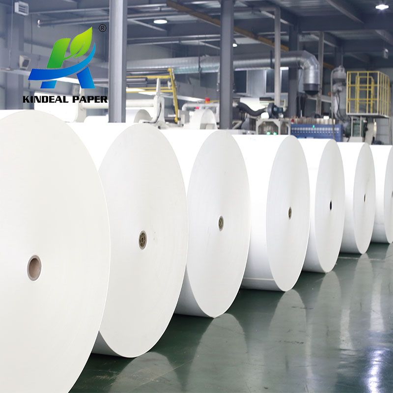 Special Paper Cup Making Raw Material for High Speed Cup Machine in Best Price