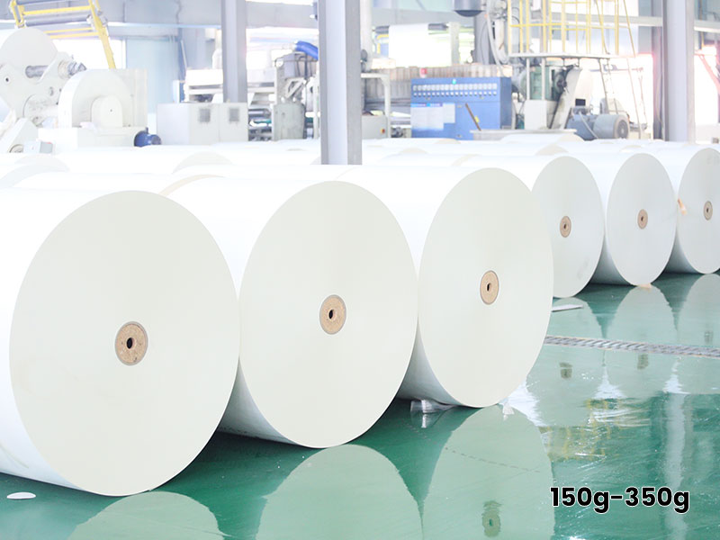 1-Paper-Cup-Raw-Material