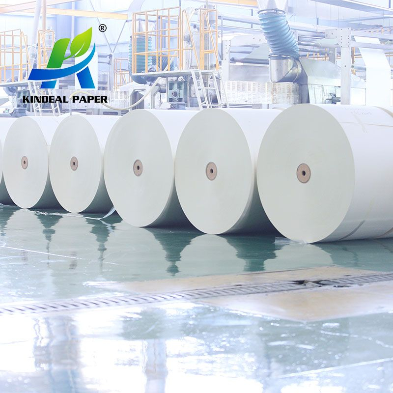 160GSM Raw Material for Paper Cups 5oz Coffee Cups