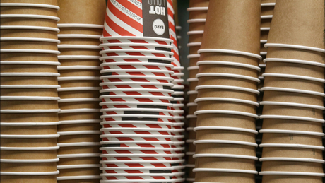 Disposable Paper Cups_6008_3379.jpg