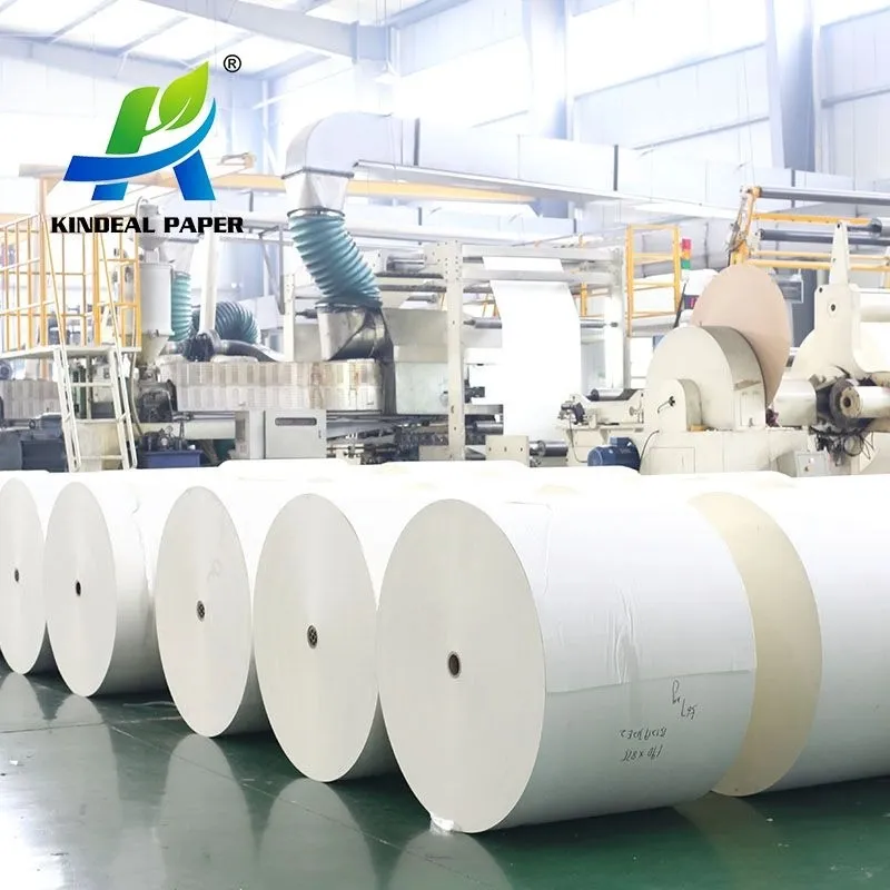 Poly Coated Paper Raw Material Roll